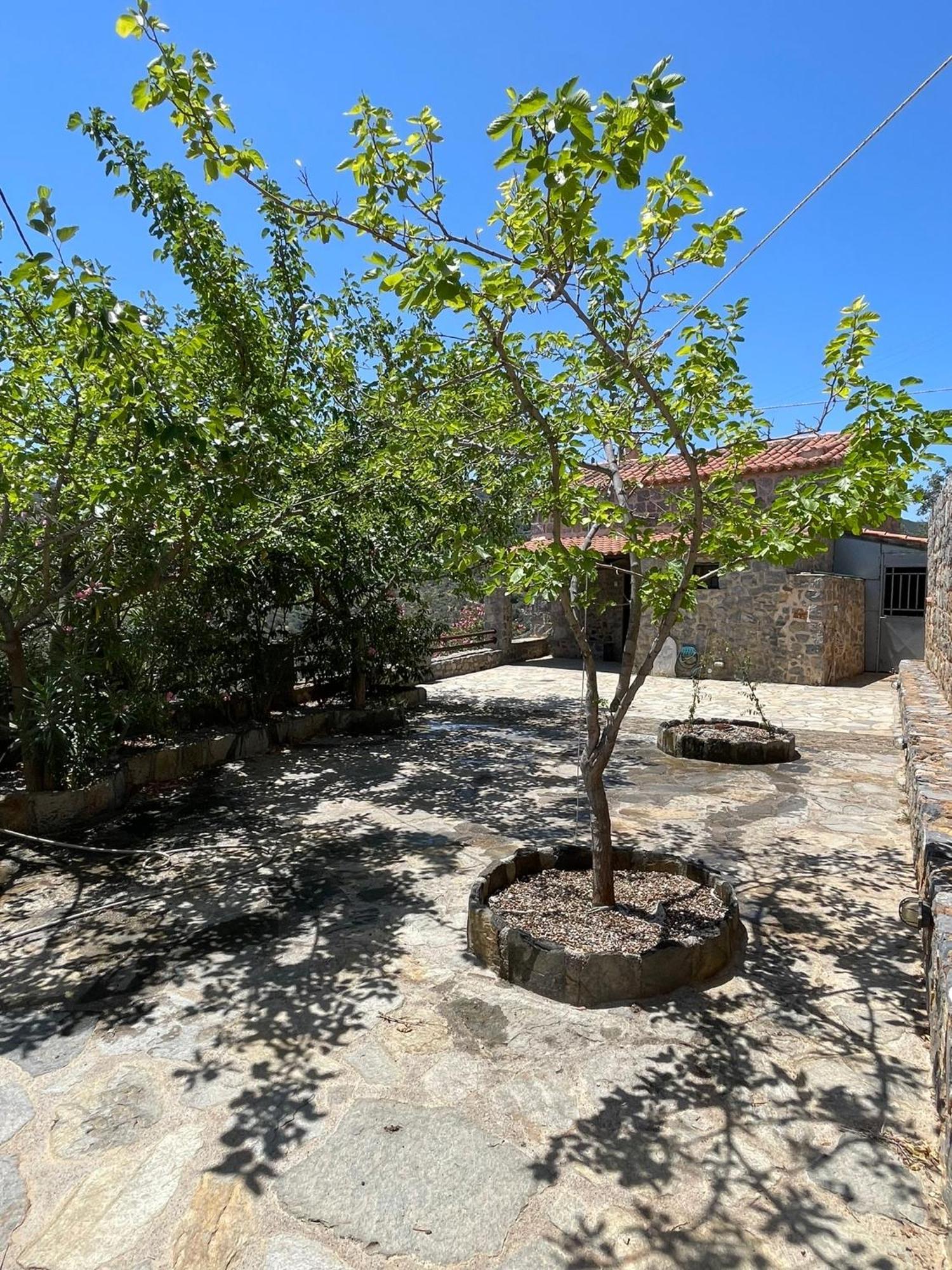 Guesthousekamara Μονεμβασιά Εξωτερικό φωτογραφία